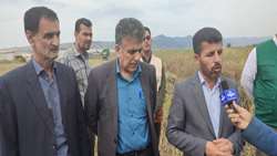کشاورزی قراردادی یک تسهیلات صفر درصد برای تامین نقدینگی کشاورزان است